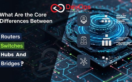 What Are the Core Differences Between Routers, Switches, Hubs, and Bridges?