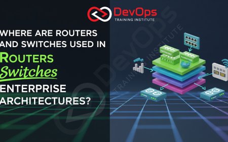 Where Are Routers and Switches Used in Enterprise Architectures?
