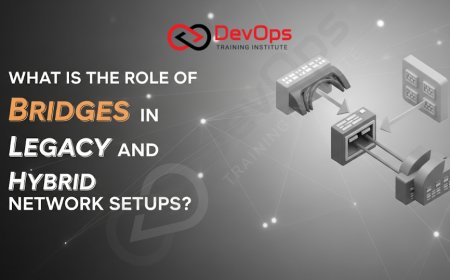 What Is the Role of Bridges in Legacy and Hybrid Network Setups?