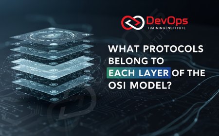 What Protocols Belong to Each Layer of the OSI Model?