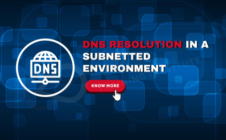 How Does DNS Resolution Work Within a Subnetted Environment?