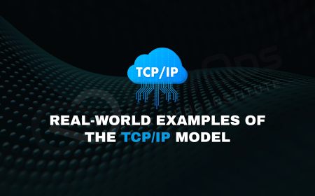 What Real-World Examples Best Illustrate the TCP/IP Model?