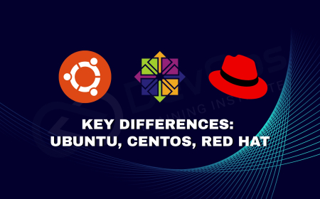 What Are the Major Differences Between Ubuntu, CentOS, and Red Hat?