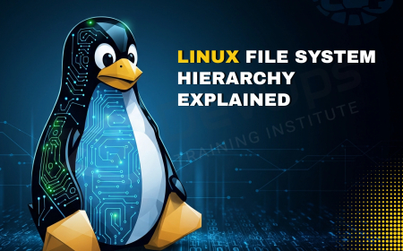 How Is the Linux File System Hierarchy Structured and Why Does It Matter?