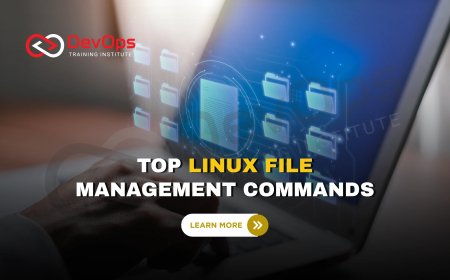 What Are the Most Common Linux File Management Commands and How Are They Used?