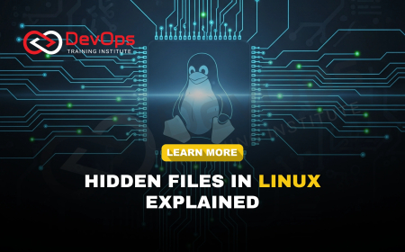 What Are Hidden Files in Linux and How Can You Work with Them?