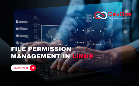 How Do You Set and Modify File Permissions in Linux?