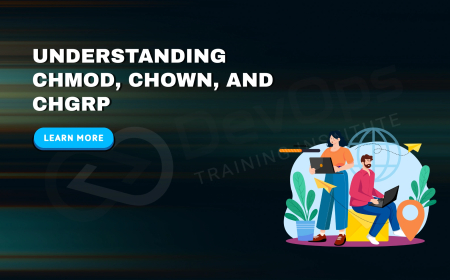 What Is the Difference Between chmod, chown, and chgrp Commands?