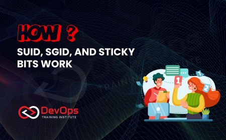 What Are SUID, SGID, and Sticky Bits and How Do They Work?