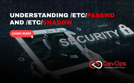 What Are the Roles of /etc/passwd and /etc/shadow in User Management?