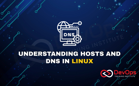 What Is the Role of /etc/hosts and DNS in Linux Network Resolution?