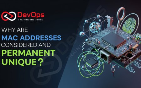 Why Are MAC Addresses Considered Permanent and Unique?