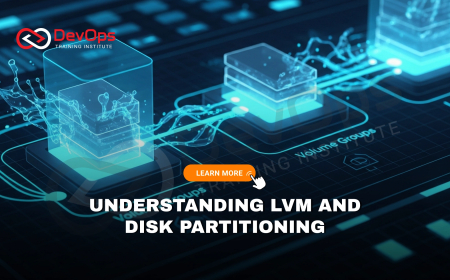 How Do Logical Volume Manager (LVM) and Disk Partitioning Work Together?