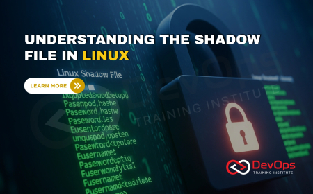 What Is the Use of the /etc/shadow File in Linux User Authentication?