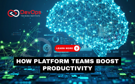 How Do Platform Teams Use Internal Developer Portals to Boost Productivity?