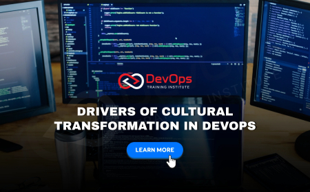 Who Drives Cultural Transformation During DevOps Transitions?