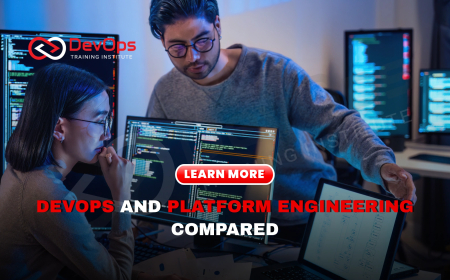 What Are the Main Differences Between DevOps and Platform Engineering Practices?