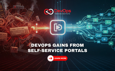 Where Can Self-Service Portals Improve Developer Productivity in DevOps?