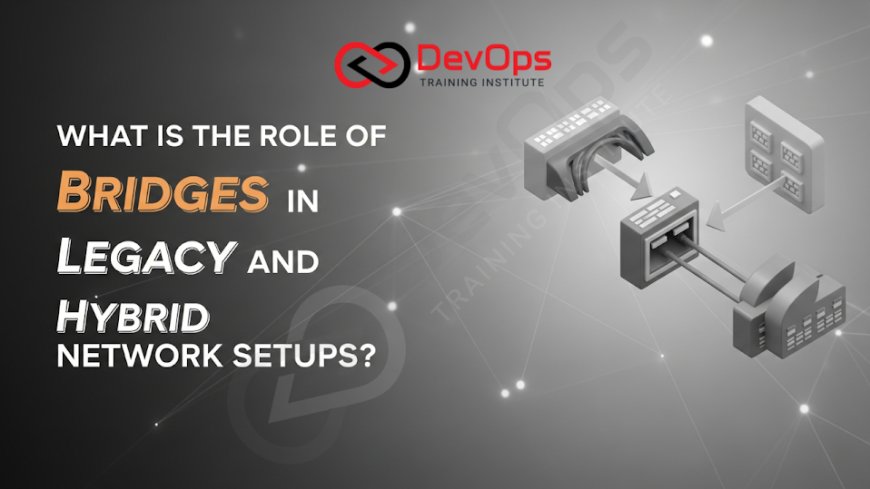 What Is the Role of Bridges in Legacy and Hybrid Network Setups?