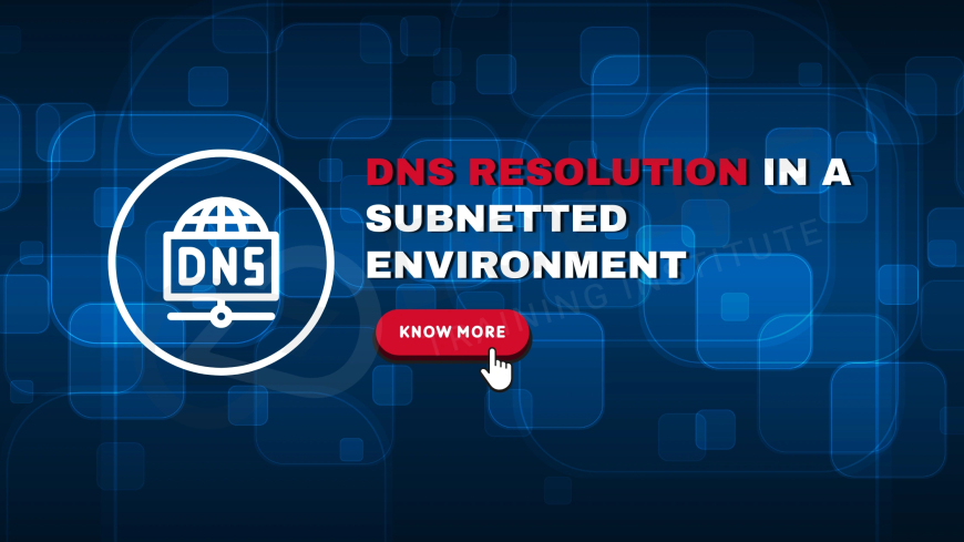 How Does DNS Resolution Work Within a Subnetted Environment?