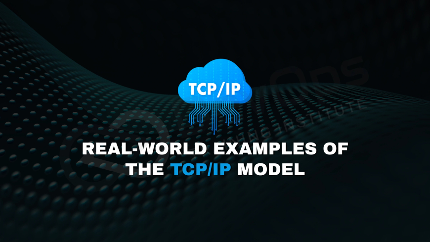 What Real-World Examples Best Illustrate the TCP/IP Model?