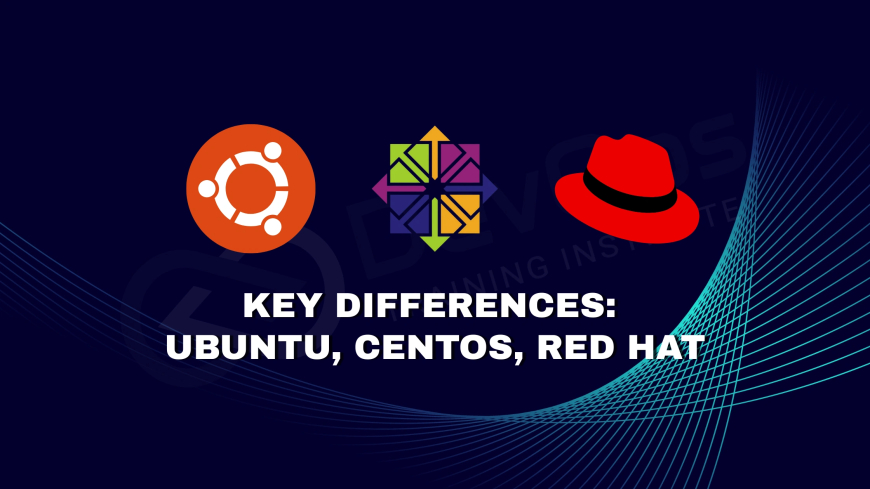 What Are the Major Differences Between Ubuntu, CentOS, and Red Hat?