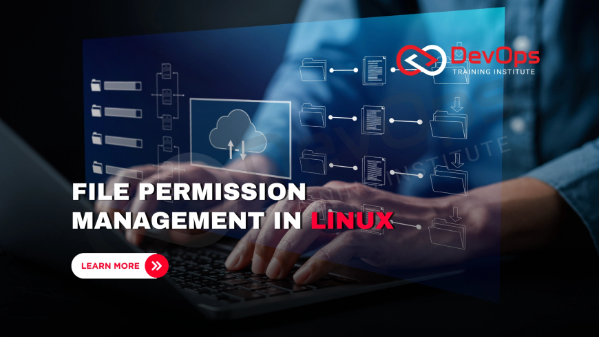 How Do You Set and Modify File Permissions in Linux?