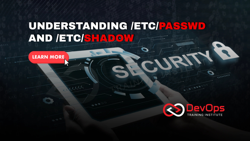 What Are the Roles of /etc/passwd and /etc/shadow in User Management?