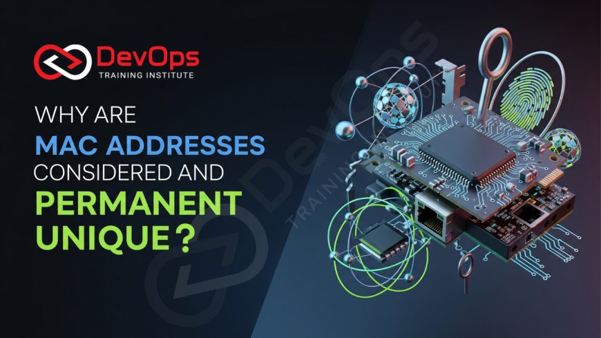 Why Are MAC Addresses Considered Permanent and Unique?