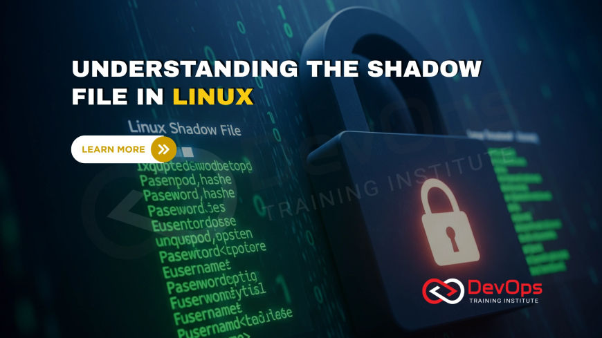 What Is the Use of the /etc/shadow File in Linux User Authentication?