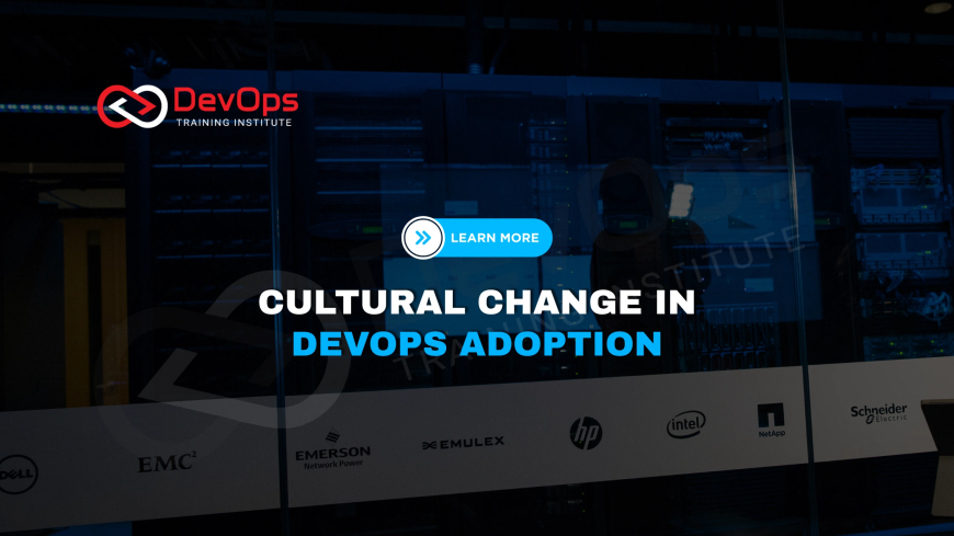Who Drives Cultural Change During DevOps Adoption in Large Enterprises?