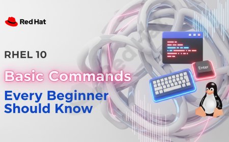 RHEL 10 Basic Commands Every Beginner Should Know