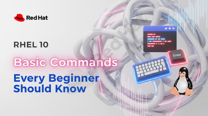 RHEL 10 Basic Commands Every Beginner Should Know