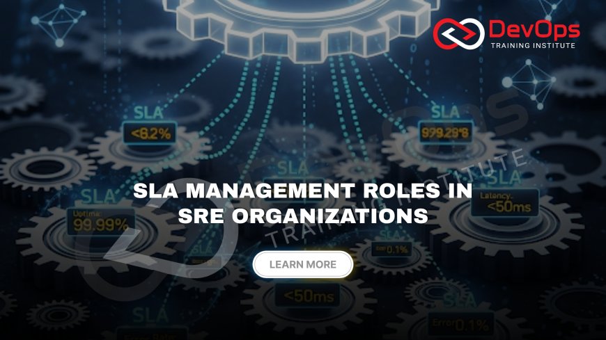 Who Supervises Service Level Agreements in SRE-Led Organizations?